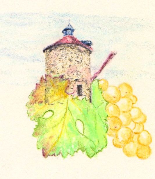 Illustration au crayon de couleur : une tour de pierre ancienne, une feuille de vigne et une grappe de raisin doré.